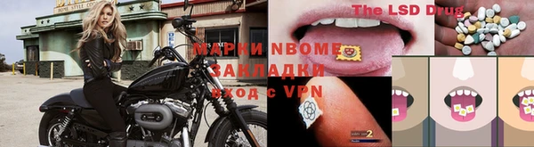 дживик Баксан