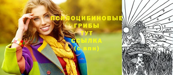 дживик Баксан