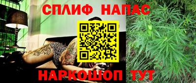 мдпв Кингисепп