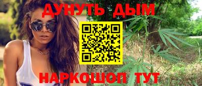 мдпв Кингисепп