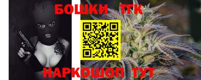 мдпв Кингисепп
