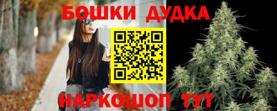 мдпв Кингисепп
