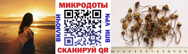 Галлюциногенные грибы ЛСД  дарнет шоп  Краснокаменск 