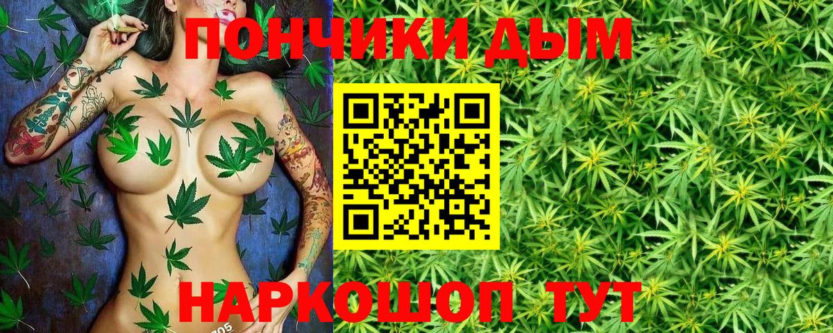Краснокаменск  Шишки марихуана VHQ  Марихуана сатива  Канабис тримм  Вход с VPN  Бошки марихуана конопля 